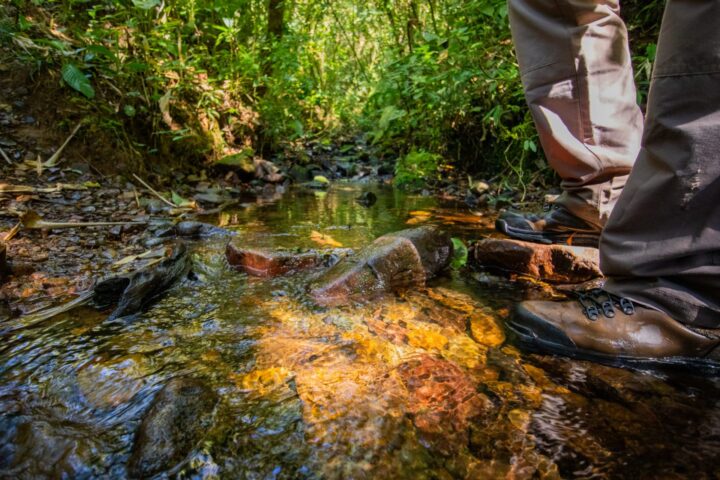 Pé na trilha na cachoeira em são josé dos pinhais